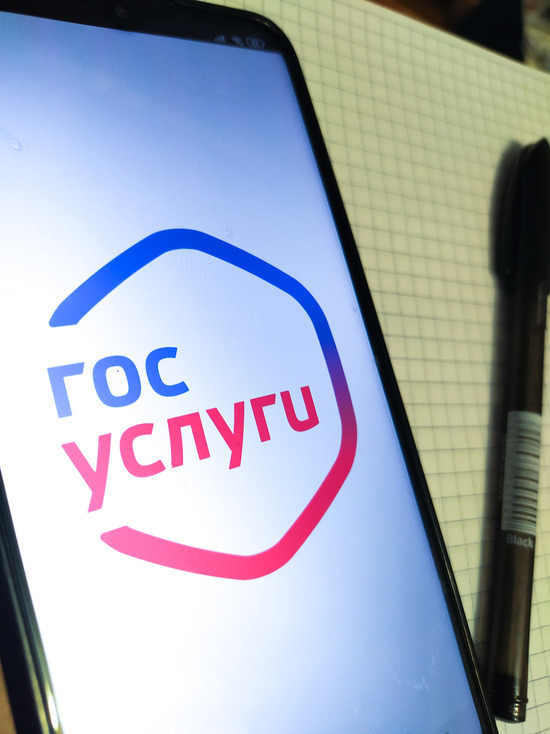 Портал «Госуслуги» начнет работу в ДНР