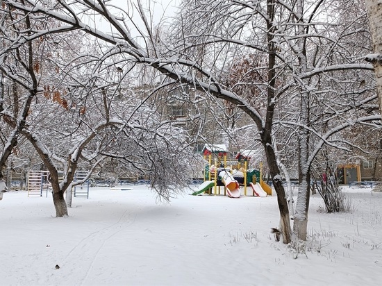 Неизвестный в канун Нового года украл елку в Екатеринбурге