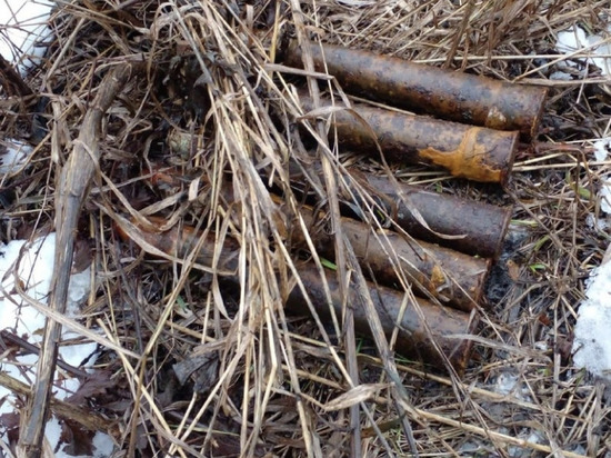 В Липецкой области обнаружили боевые снаряды