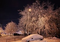 В ближайшие дни в Петербург придут настоящие морозы. Уже в четверг столбик термометра опустится до -10, а в воскресенье температура упадет до -15. В некоторых районах Ленобласти ожидается до -20…-25 градусов и ниже.
