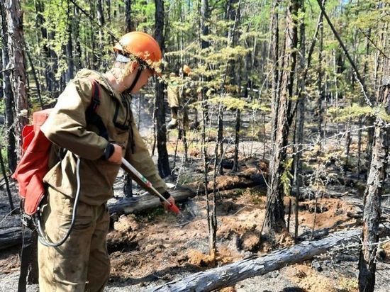 В Якутию направят свыше 2,5 млрд рублей на охрану леcов от пожаров