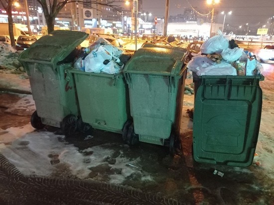 Объем сортировки отходов в Петербурге собираются увеличить до 54 % в 2023 году