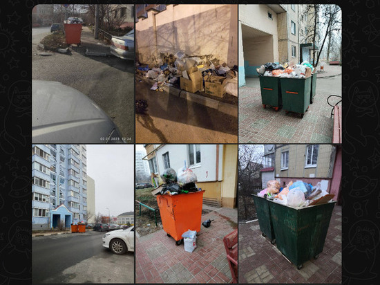 Белгородцам объяснили причины невывоза мусора на новогодних праздниках