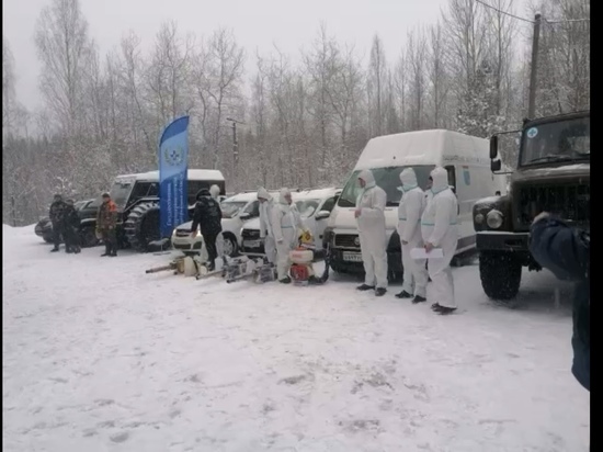 Сбор мобильных ветеринарных отрядов прошел в Ленобласти