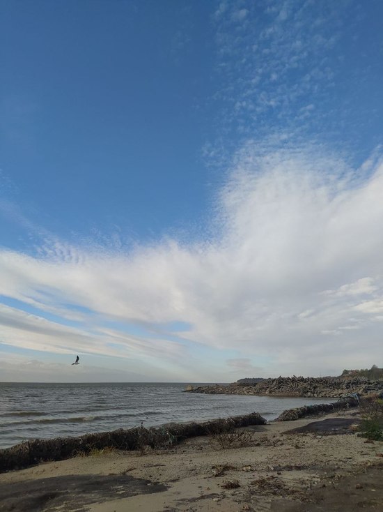 На отдых членов профсоюзов ДНР выделили 86 миллионов рублей