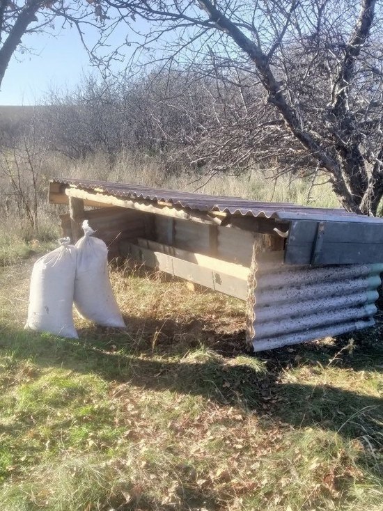 В лесхозах ДНР оборудовали кормушки для животных и птиц