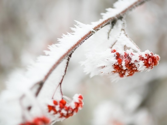 В Волгоградской области на Рождество ожидаются снегопад и мороз до -15 °С