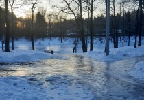 В Калужской области до 6 января введен желтый уровень погодной опасности 