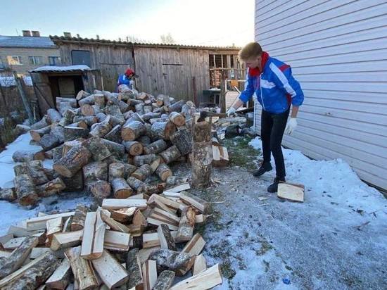 «Снежный десант» помог маме гдовского мобилизованного наколоть дров