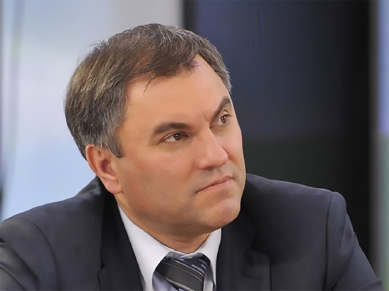 Володин отреагировал на возможное решение об изъятии активов РФ