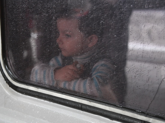 В ООН сообщили, что в Европе находится свыше 7,9 млн украинских беженцев
