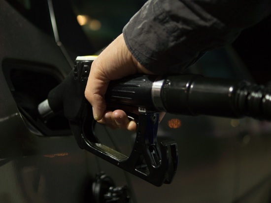 Новгородцам рассказали стоит ли ожидать повышения цен на топливо