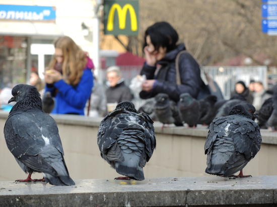 Сеть ресторанов McDonald's в Казахстане прекращает работу