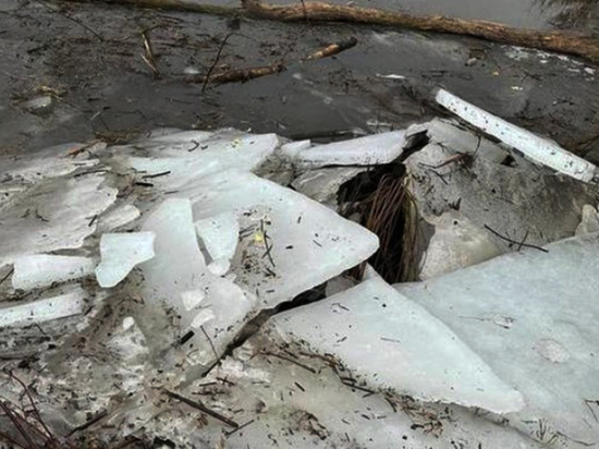 Ледоход стал причиной закрытия понтонного моста в воронежском Шилово