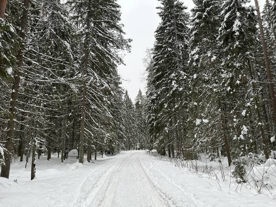 Синоптик Вильфанд спрогнозировал −25 градусов в Петербурге на Рождество