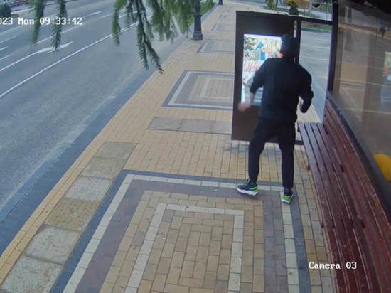 В Гусеве задержали вандала, который разбил экраны на нескольких остановках