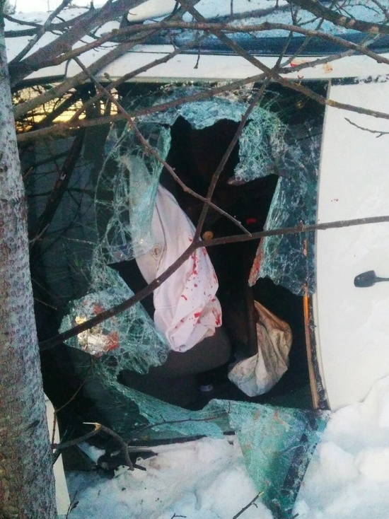 Под Кировом росгвардейцы разбили лобовое стекло и достали девушку из перевернувшейся машины