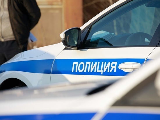 Пьяный водитель в Екатеринбурге положил в автомобиль ДПС 19 тысяч
