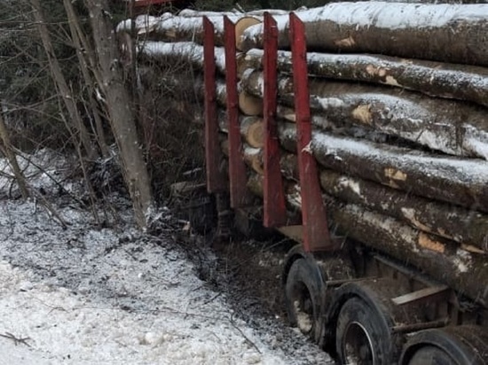 Груженый лесовоз улетел в кювет в Калужской области