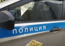 Жительница Мурманска устроила перестрелку с сотрудниками полиции