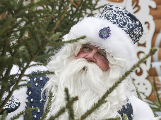 Петербуржцы пожаловались на дикий ночной рев поезда Деда Мороза