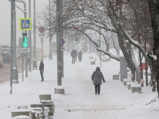 Москвичей предупредили о морозах до минус 25 градусов в рождественскую ночь