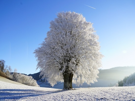 Синоптики обeщают 7 января в Смолeнскe солнечную и морозную погоду