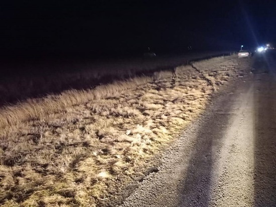В Ростовской области водитель иномарки разбился насмерть в ДТП с перевертышем