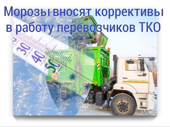 На Ямале из-за трескучих морозов ожидаются задержки вывоза мусора из контейнеров