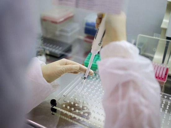 На Кубани выявили 31 случай коронавируса