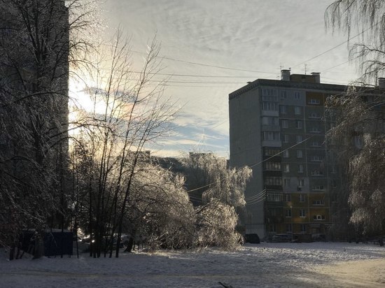 8 января в Нижнем Новгороде ожидается пасмурная погода