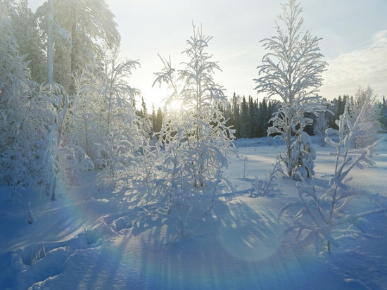 Мороз до -14 ожидает тамбовчан 8 января