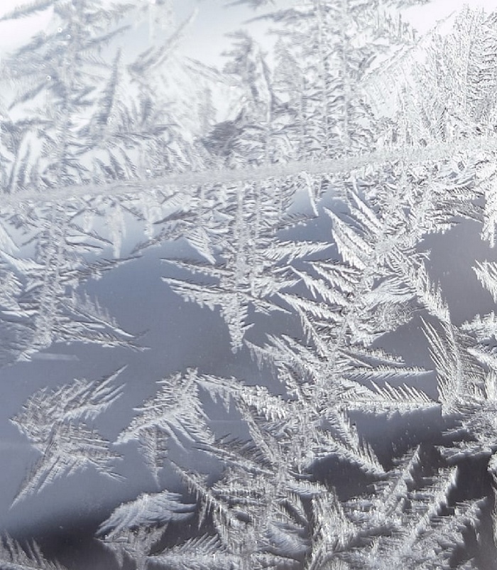 Необычные узоры на окнах от мороза показали жители Воронежской области 