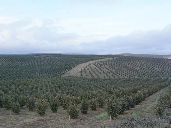 Дагестанские сельхозпредприятия займутся инвестпроектами