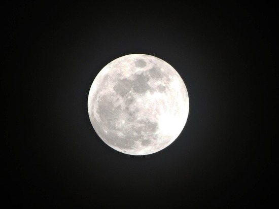 Лунное гало заметили в лесу под Петербургом в ночь на 8 января