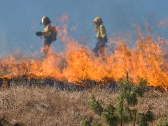 Более 370 лесных пожаров произошло в Забайкалье в 2022 году