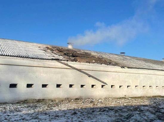 В белгородском селе Новая Таволжанка снаряд попал в ангар для птицы