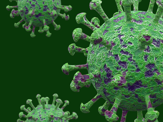 Около 30 жителей Ленобласти заразились коронавирусом за последние сутки