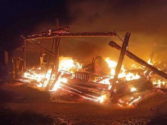 В Пронском районе сгорел дом многодетной семьи с четырьмя детьми