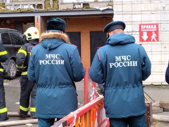 В Омской области за первую неделю году погибли на пожарах 5 человек