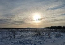 По прогнозам синоптиков Центра ФОБС, в Тульской области 9 января ожидается ясная погода