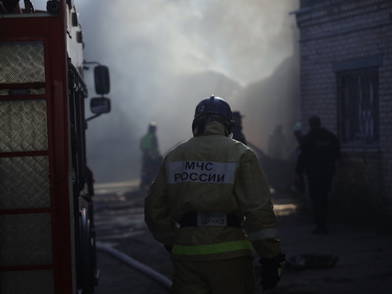В Новгородской области произошел пожар на телячьей ферме