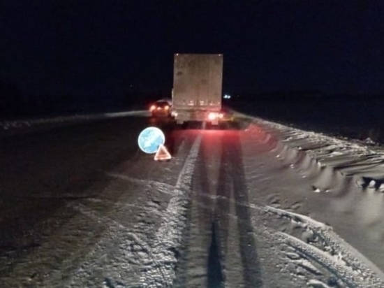 В Удмуртии спасли водителя фуры, заглохшей на дороге в морозы