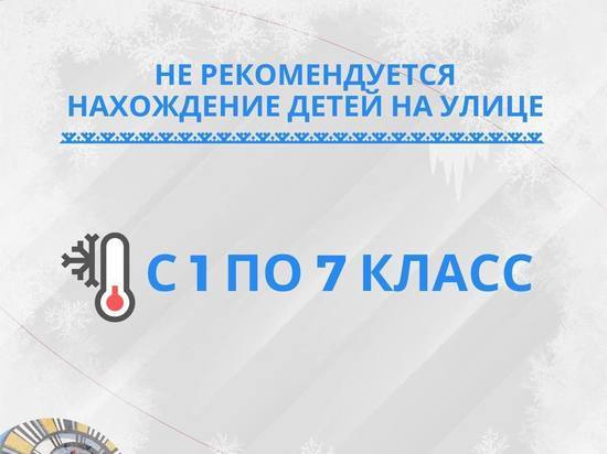 В Ноябрьске ученикам 1-7 классов разрешили остаться дома из-за мороза