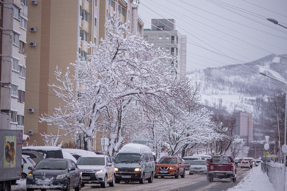 Южно сахалинский городской. Южно-Сахалинск улица 2-я новая. Комсомольская 159 Южно-Сахалинск. Южно-Сахалинск фото города 2022. Тихоокеанская 22 Южно-Сахалинск.