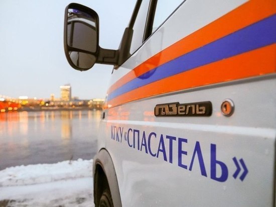 Спасатели в Красноярском крае эвакуировали из леса 50-летнюю женщину с инфарктом