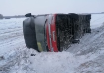 Стали известны подробности аварии с участием рейсового автобуса в Панкрушихинском районе