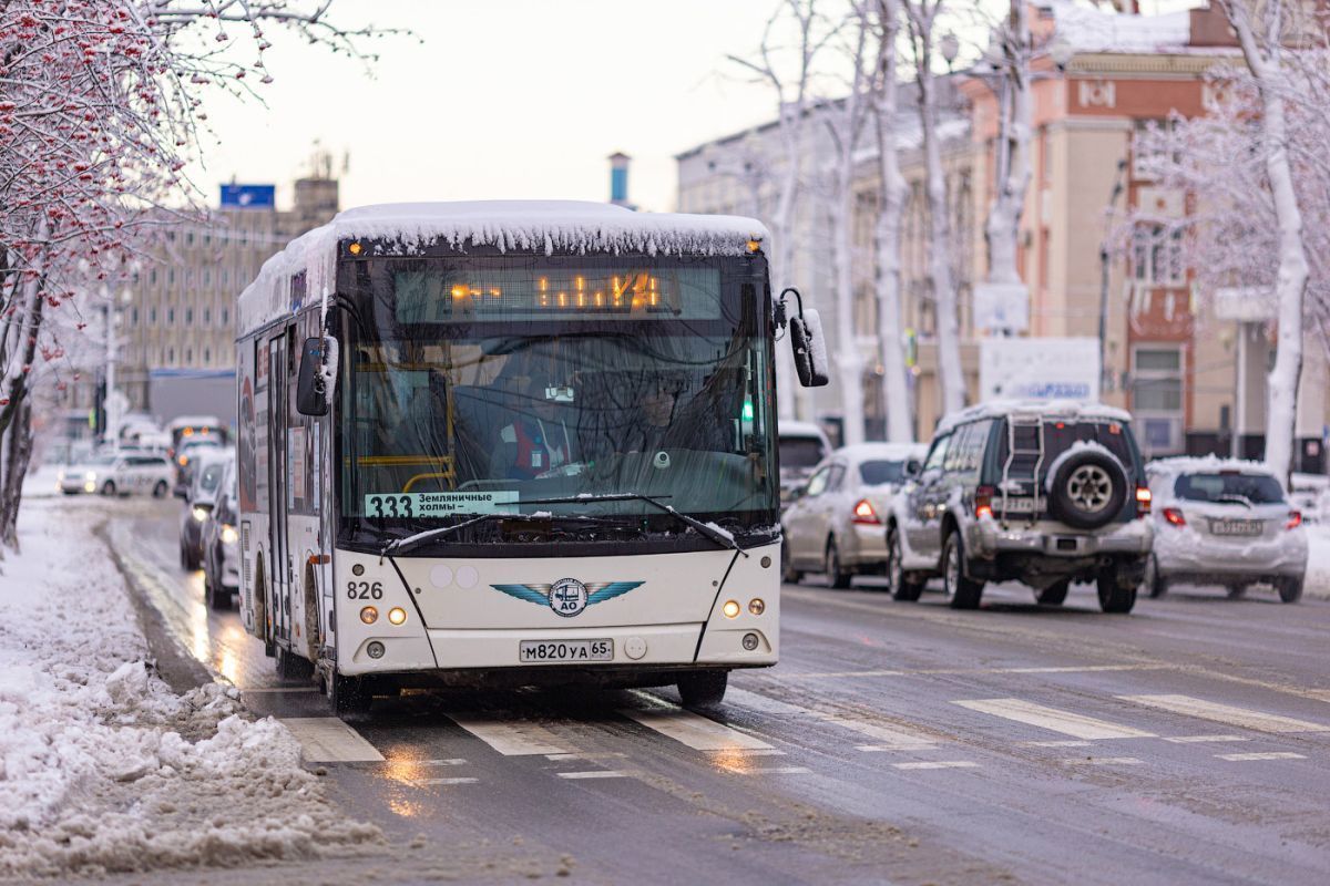 Проездной билет на автобус южно сахалинск