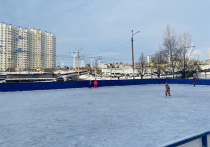 В Туле этой зимой функционируют шесть ледовых катков и 22 хоккейные коробки