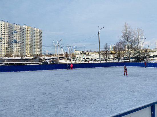 В Туле открыто шесть ледовых катков и 22 хоккейные коробки